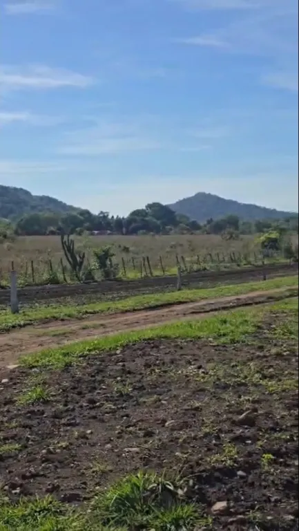 ESCOBAR, PARAGUARÍ: 20+10 HAS, IDEAL P GRANJA, QUINTA, CRIADEROS, PLANTACIONES. — foto 3