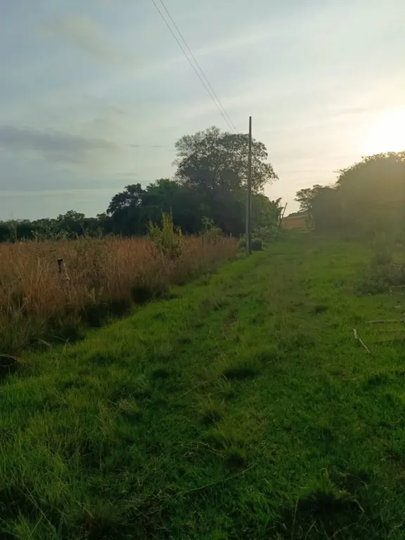 ESCOBAR, PARAGUARÍ: 20+10 HAS, IDEAL P GRANJA, QUINTA, CRIADEROS, PLANTACIONES. — foto 2