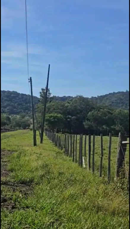 ESCOBAR, PARAGUARÍ: 20+10 HAS, IDEAL P GRANJA, QUINTA, CRIADEROS, PLANTACIONES. — foto 3