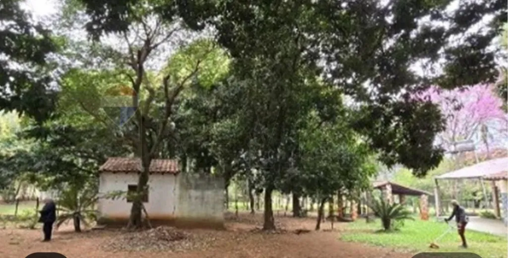 VENDO TERRENO 2 HECTÁREAS Y 1588 M2 EN PATIÑO ITAUGUÁ SAVDA.A MIN DE RUTA LUQUE AREGUA — foto 3