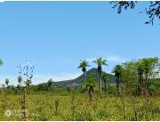 20 ha Propiedad con naturaleza en Potrero Garay – La Colmena