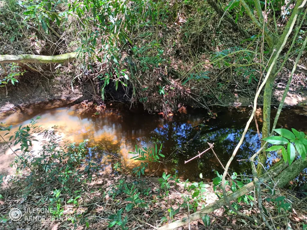 20 ha Propiedad con naturaleza en Potrero Garay – La Colmena — foto 3