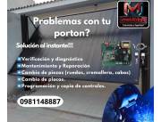 Mantenimiento De Portones automáticos