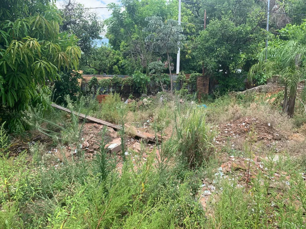 *Vendo terreno en Lambare cod 6783* — foto 2