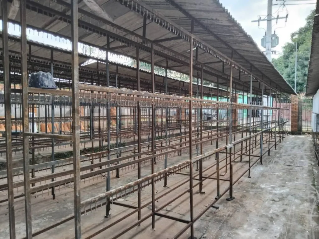 Terreno en Venta en Villa Elisa — foto 2