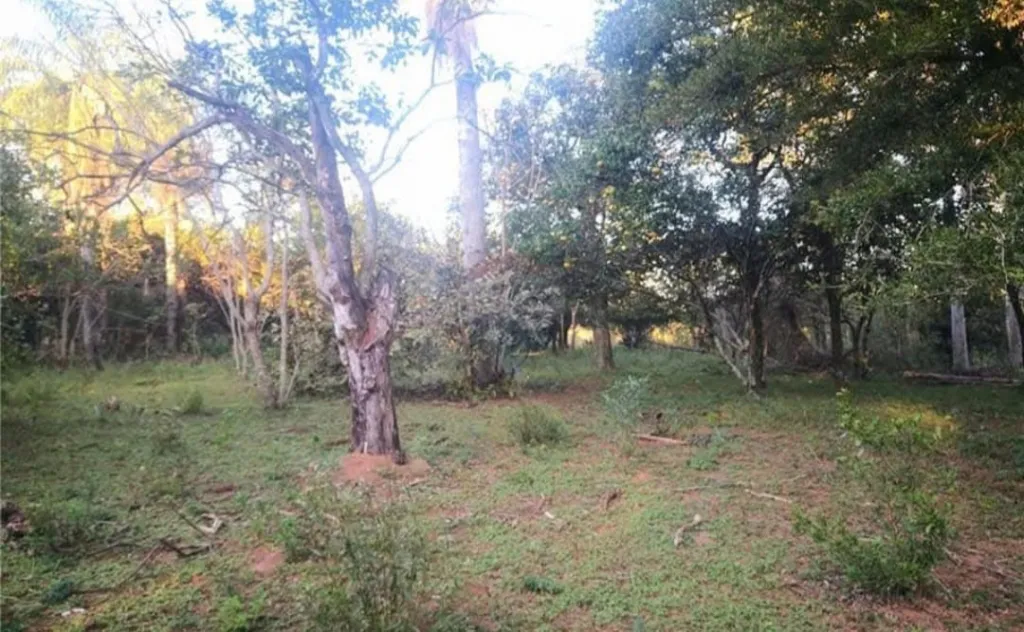 Terreno Rural en Atyra - 9 Ha. — foto 2