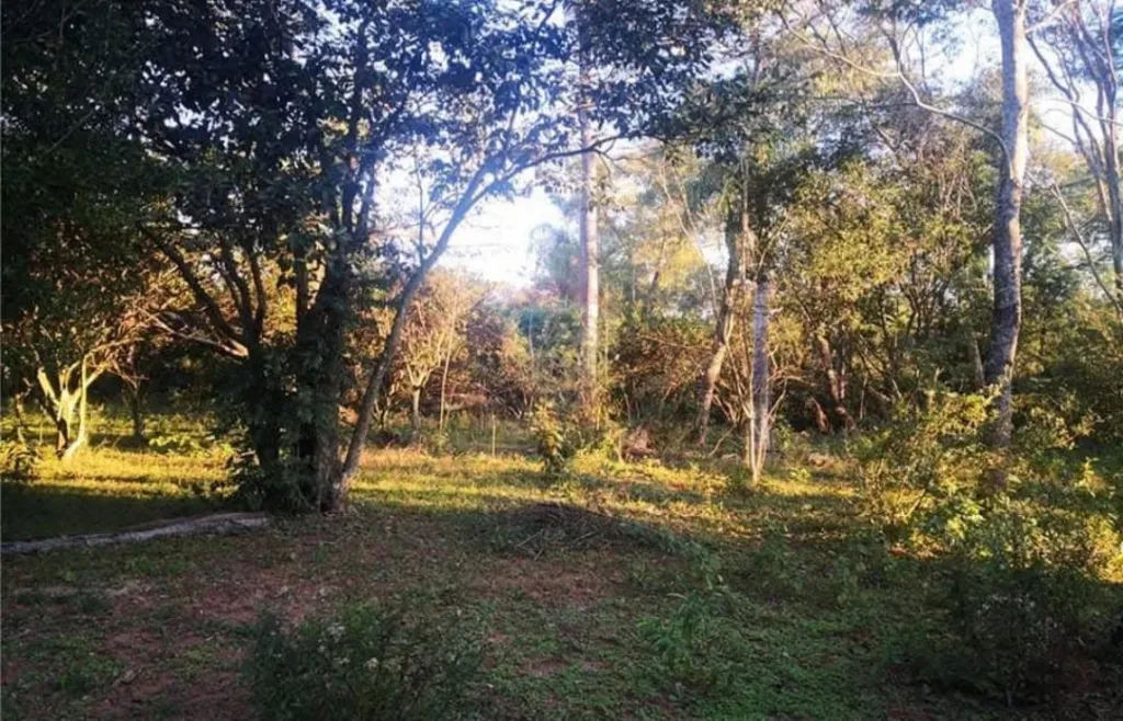 Terreno Rural en Atyra - 9 Ha. — foto 3