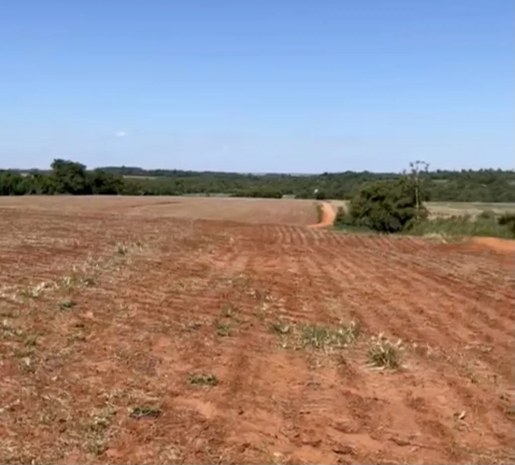 Campo Agrícola Mecanizado en Juan E. O’Leary - 100 Ha. — foto 2