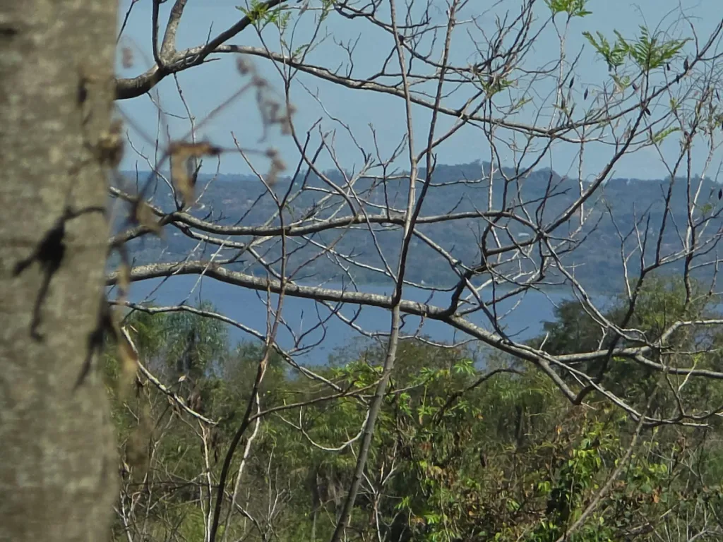 INVIERTA EN TERRENOS CON LAS MEJORES VISTAS AL LAGO SAN BERNARDINO — foto 2