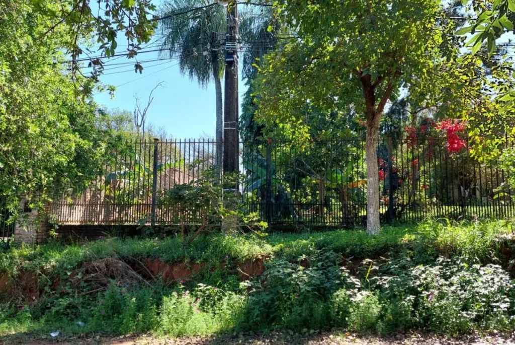 Terreno 500m² en Altura | Barrio Villa Bonita Villa Elisa | Árboles frutales — foto 2