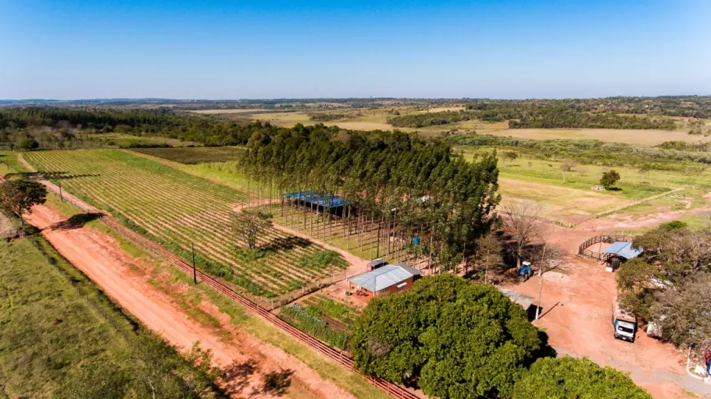 OPORTUNIDAD DE INVERSIÓN – TERRENO IDEAL PARA DESARROLLO EN CAAGUAZÚ — foto 2