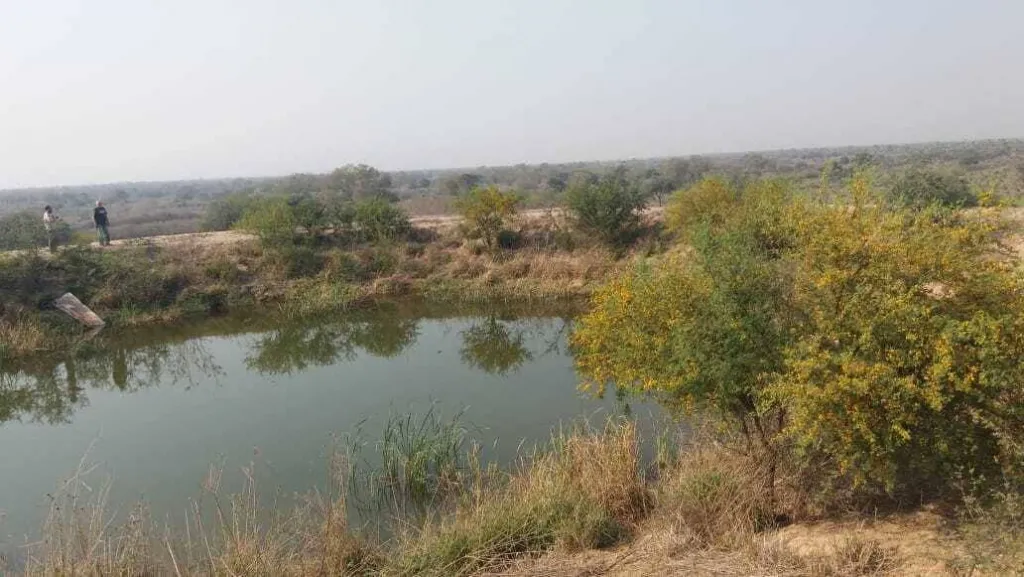 EN VENTA ESTABLECIMIENTO AGRO-GANADERO EN BOQUERÓN – CHACO PARAGUAYO — foto 2