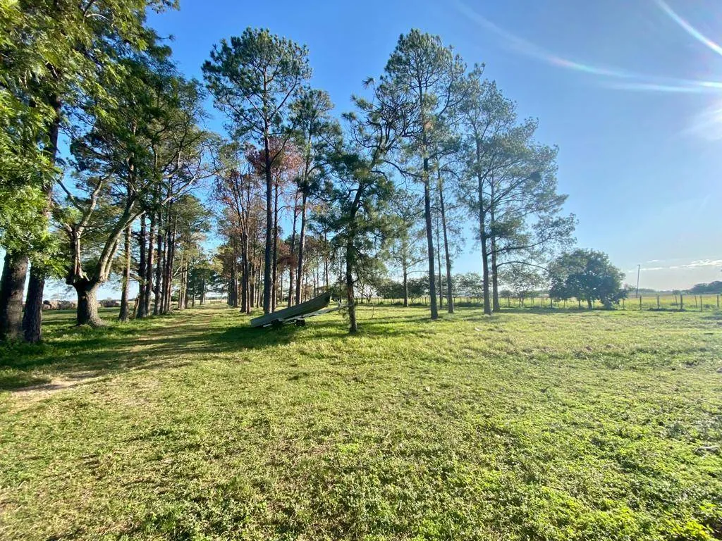 EN VENTA ESTANCIA GANADERA DE 4.197 HECTÁREAS EN ÑEEMBUCÚ — foto 2