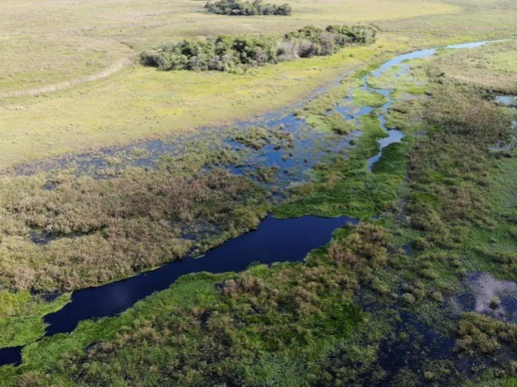 EN VENTA ESTANCIA GANADERA DE 4.197 HECTÁREAS EN ÑEEMBUCÚ — foto 3