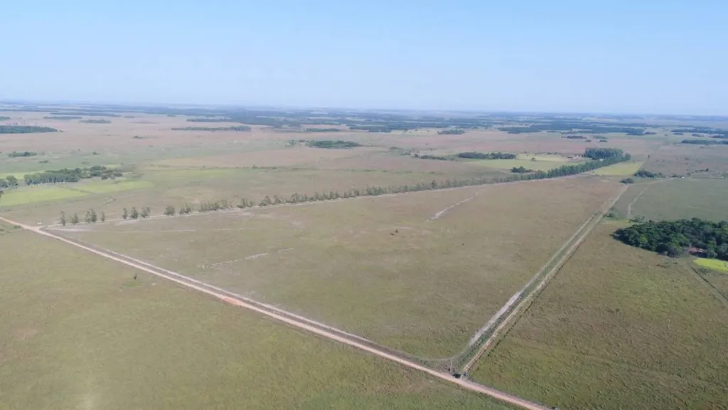 Campo en venta en 25 de Diciembre — foto 2