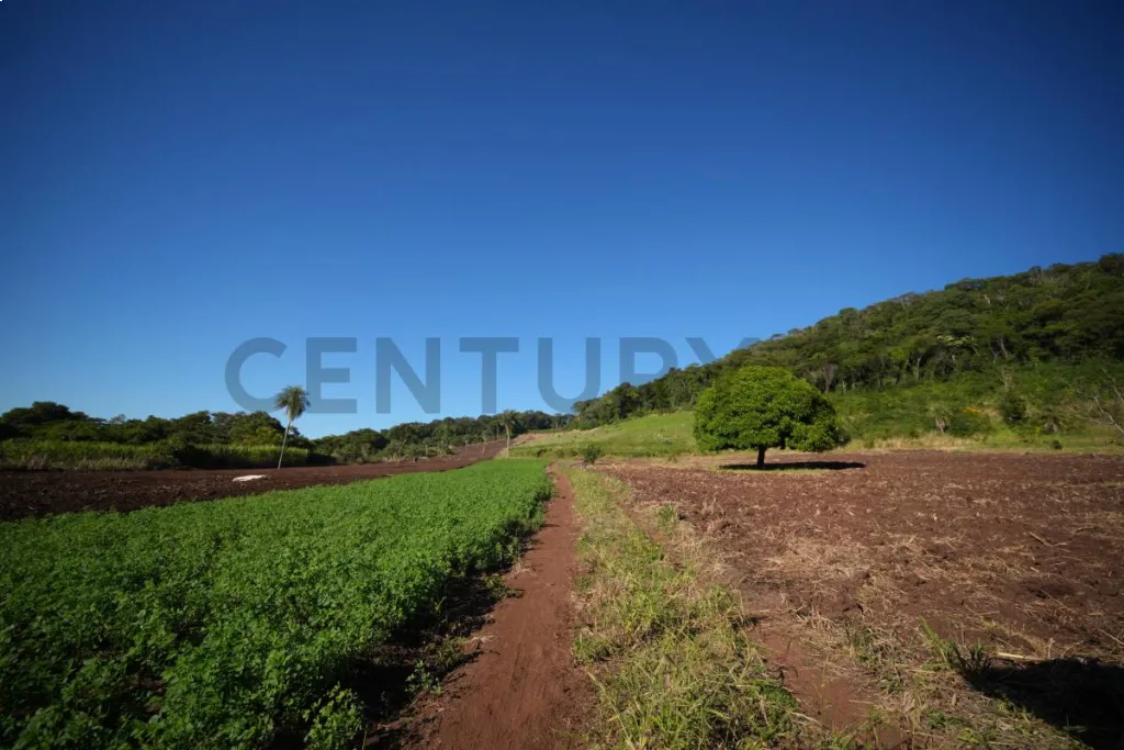 OPORTUNIDAD DE INVERSIÓN, 20 HECTÁREAS EN SAPUCAI — foto 2