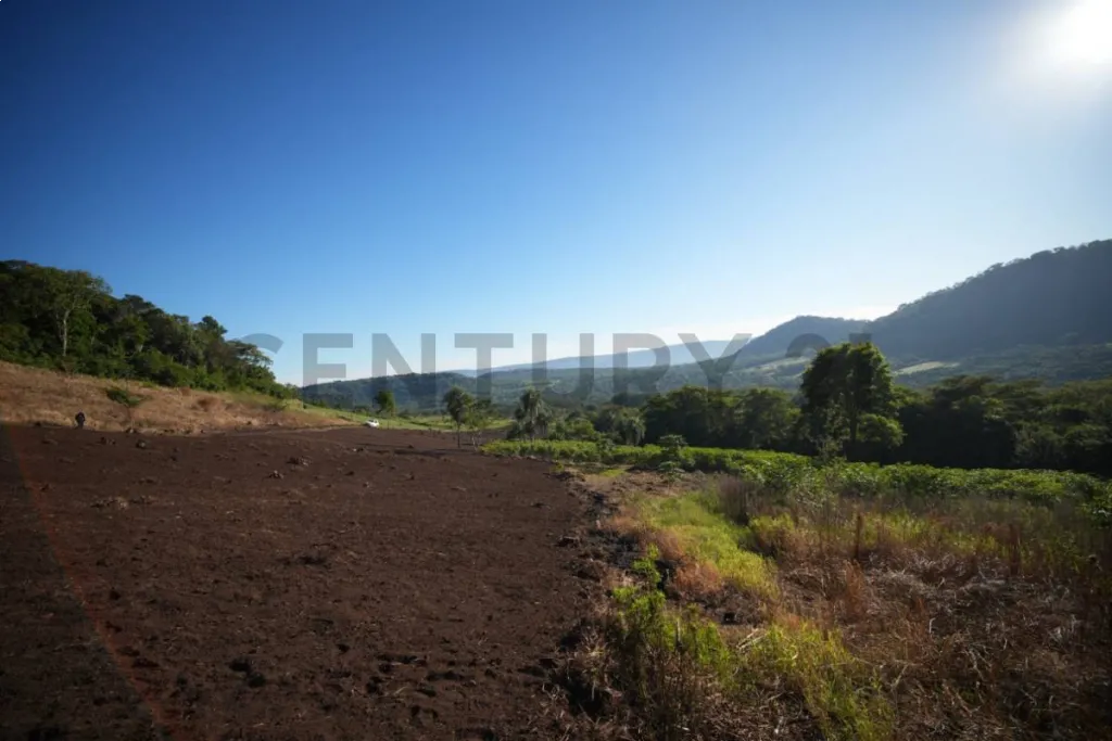 OPORTUNIDAD DE INVERSIÓN, 20 HECTÁREAS EN SAPUCAI — foto 3