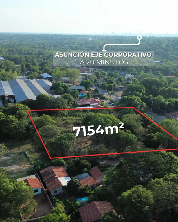 LUQUE YKUA KARANDAY SOBRE ASFALTO — foto 3