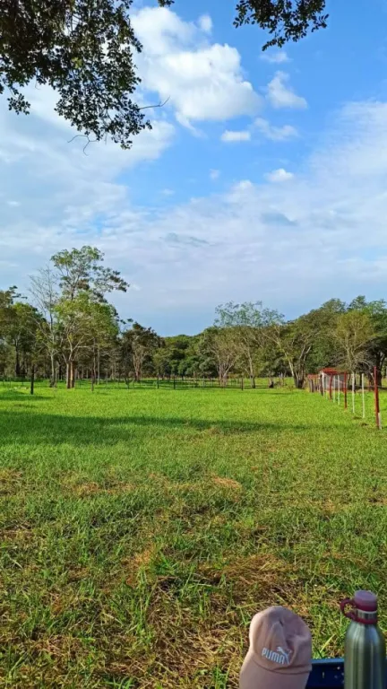 Terreno en Nueva Colombia — foto 2