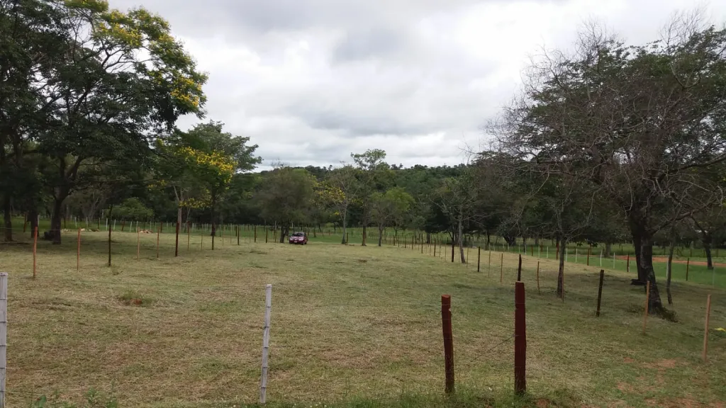 Terreno en Nueva Colombia — foto 3