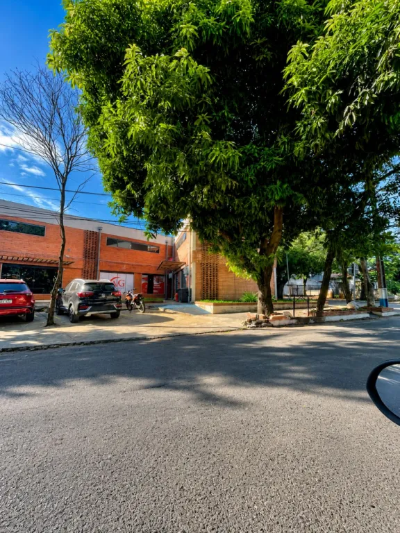 LOCAL COMERCIAL CON RENTA ACTIVA EN FDM ZONA SUR — photo 3