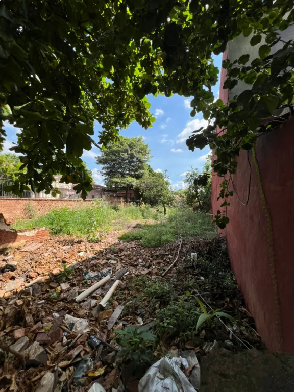 VENDO TERRENO LAMBARE BARRIO SANTO DOMINGO — foto 2