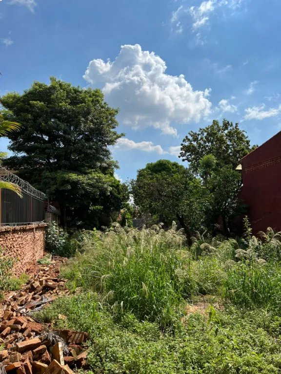 VENDO TERRENO LAMBARE BARRIO SANTO DOMINGO — foto 3