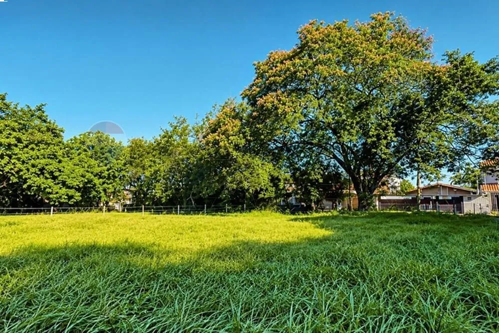 VENDO TERRENO EN ASUNCION MBURUCUYA — foto 2