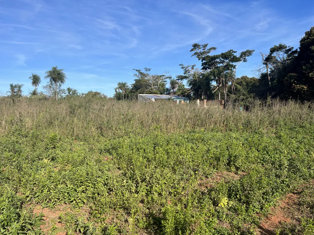 IMPERDIBLE! 2 Terrenos en Guarambaré - Zona Alta a 300m de Ruta (Juntos o Separados) — foto 3