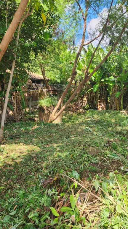Alquilo terreno a 300 mts Materno de Lomapyta — foto 2