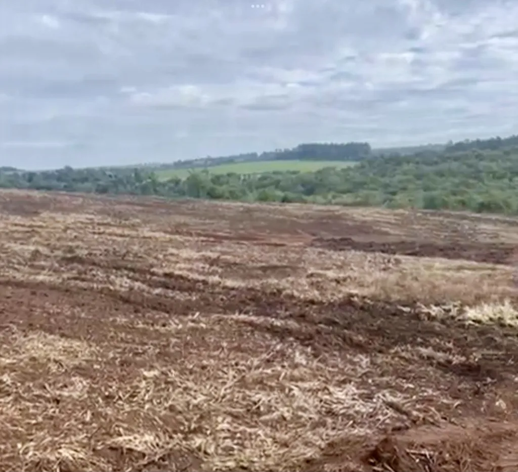 Campo Agrícola en Fram sobre Ruta Graneros del Sur - 107 Ha. — foto 2