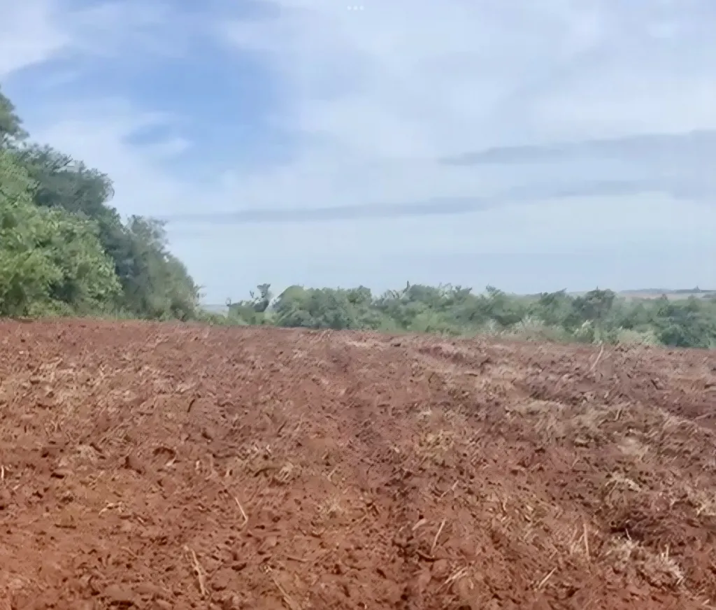 Campo Agrícola en Fram sobre Ruta Graneros del Sur - 107 Ha. — foto 3