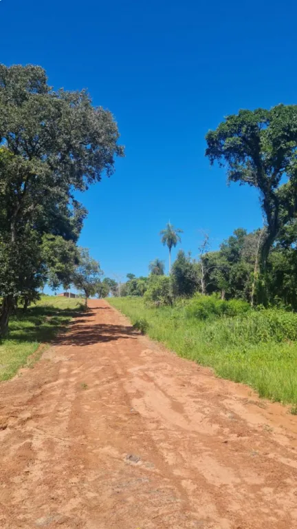 Venta de terrenos para lotear en Santani 14 has es hectáreas — foto 2