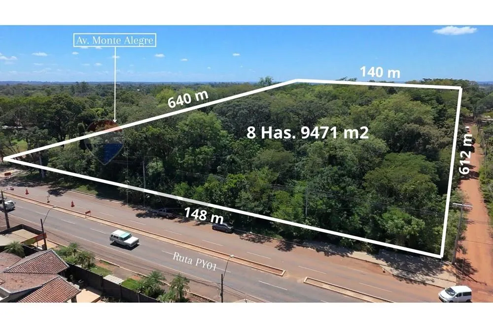 Vendo terreno de 8 has. 9.471 m² en Coronel Bogado — foto 2