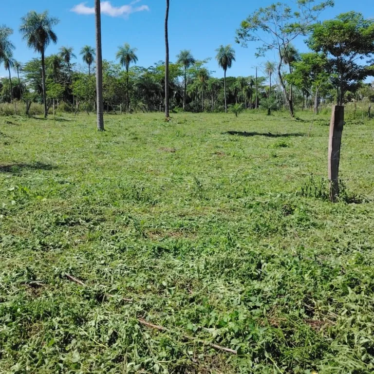 VENDO AMPLIO TERRENO EN LIMPIO 13.433 M2 PARA DESARROLLO O FRACCIONAMIENTO — foto 2