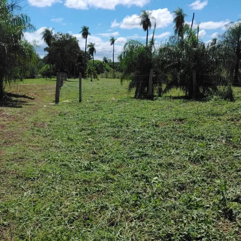 VENDO AMPLIO TERRENO EN LIMPIO 13.433 M2 PARA DESARROLLO O FRACCIONAMIENTO — foto 3