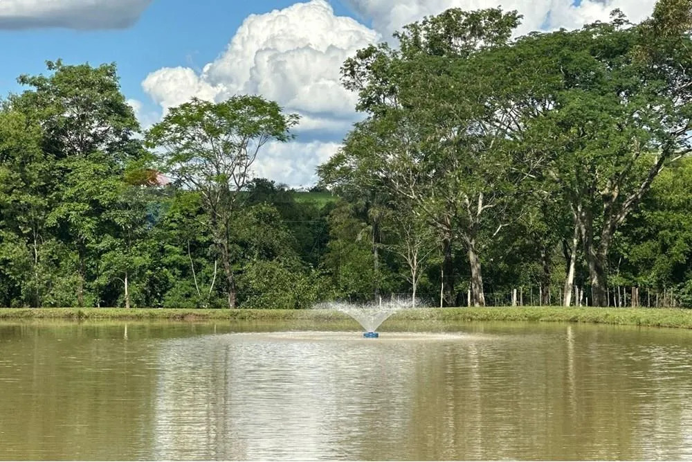 En venta estancia con 20has. y a tranquera cerrada Tavapy, Alto Paraná — foto 2
