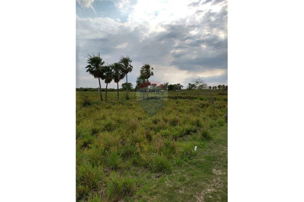 VENDO 353 HECTAREAS EN VILLA OLIVA — foto 2