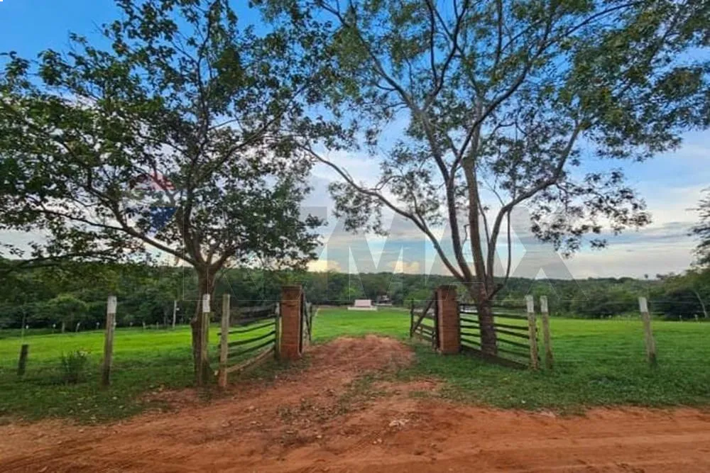 Oportunidad 2 Ha Isla Pucú EN VENTA — foto 2