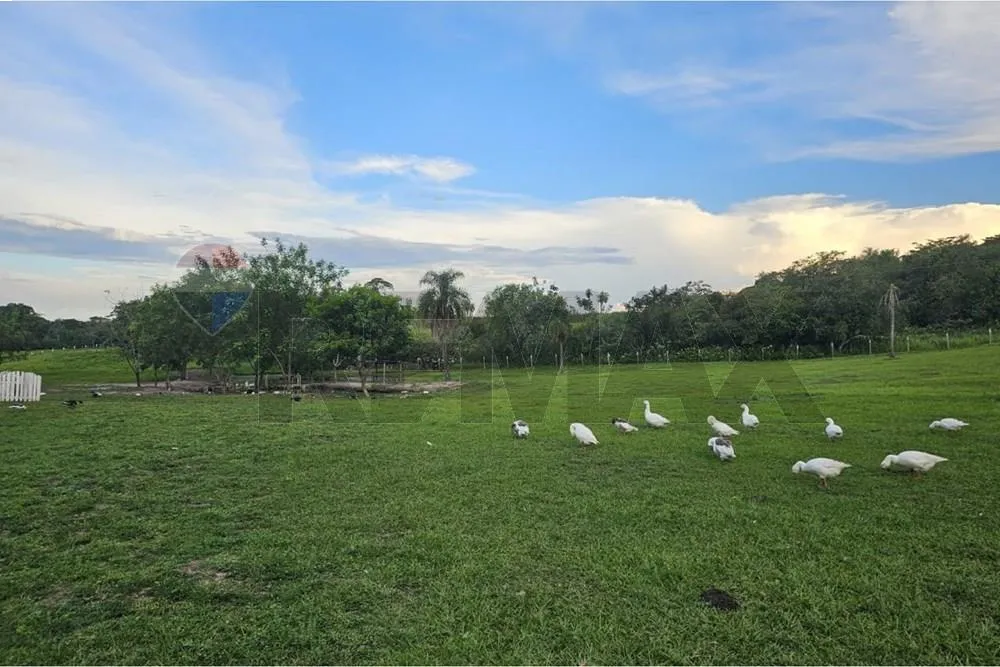 Oportunidad 2 Ha Isla Pucú EN VENTA — foto 3