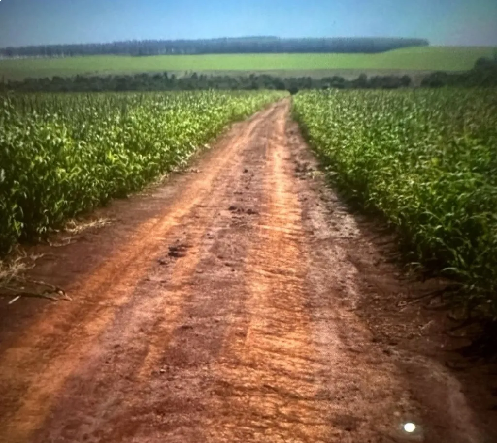 600 hectáreas en Paraguari — foto 2