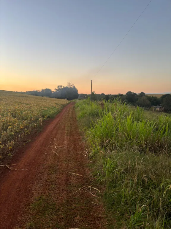 Propiedad rural chacra en venta 🌿 — foto 2