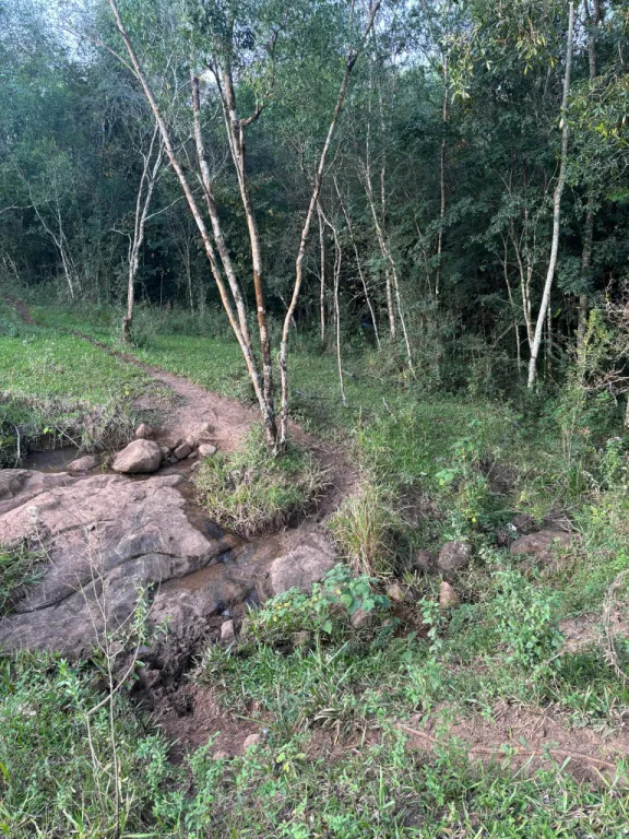 Propiedad rural chacra en venta 🌿 — foto 3