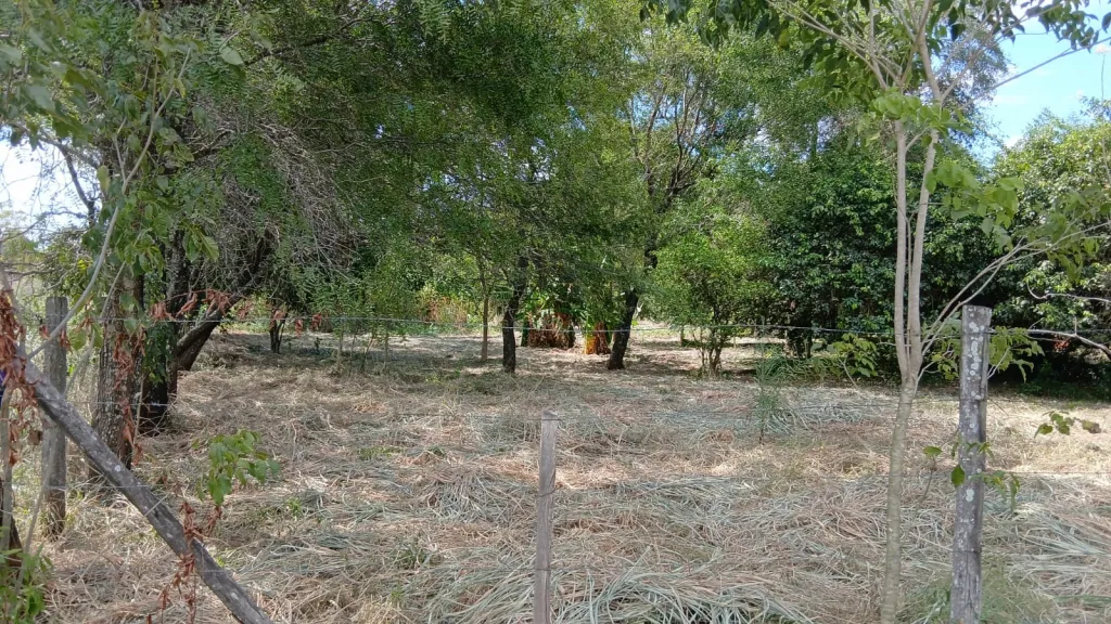 VENDO 5 TERRENOS EN LIMPIO COD 6413. — foto 2