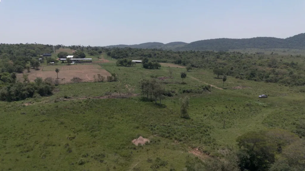 VENTA DE ESTANCIA PREMIUM – CAAPUCÚ PARAGUARÍ — foto 2