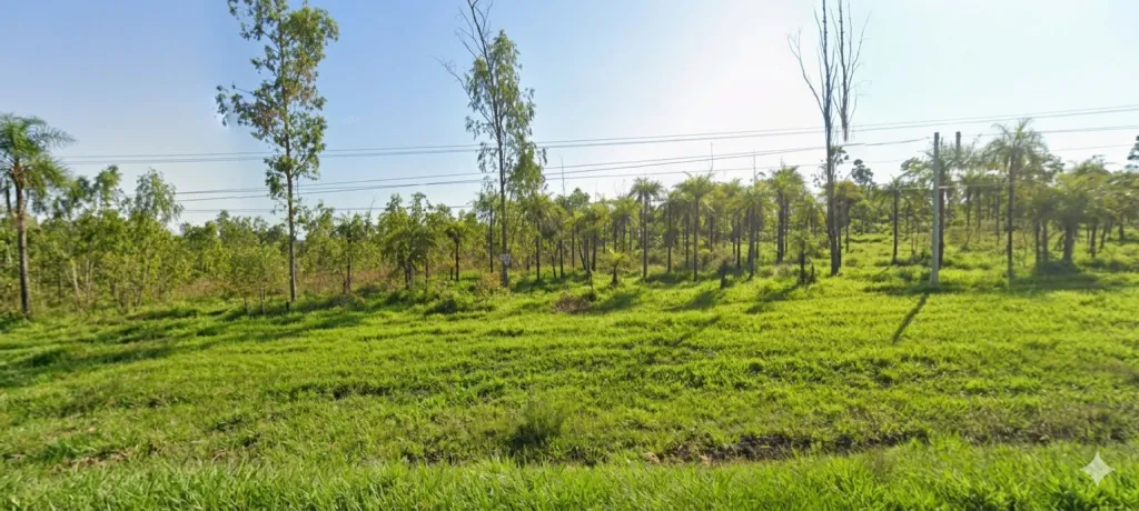 ¡ATENCIÓN INVERSIONISTAS! Estratégico Terreno de 6.686 m² sobre Ruta – Dpto. de Cordillera — foto 2