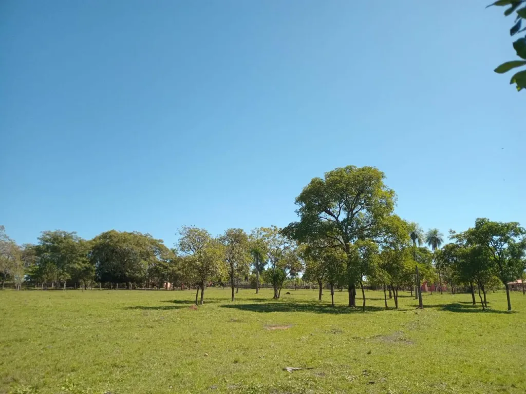 Vendo Granja en Piribebuy de 5,1 Hectareas — foto 2