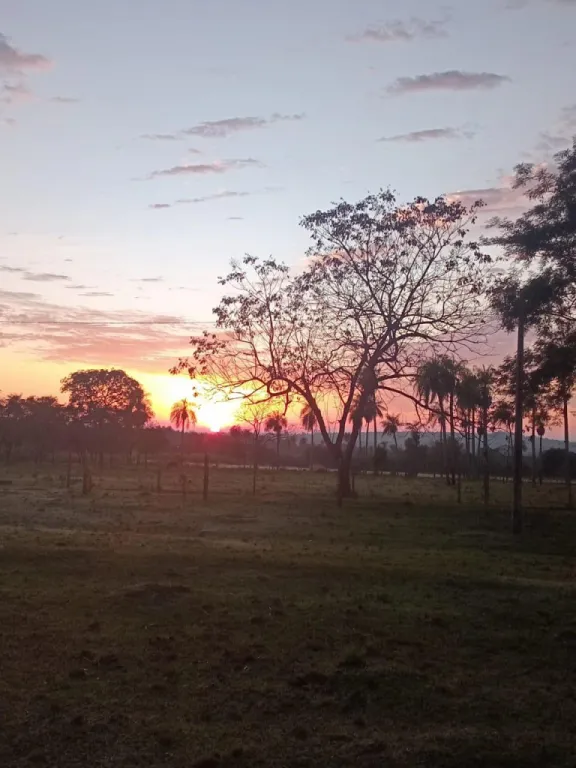 Vendo Granja en Piribebuy de 5,1 Hectareas — foto 3