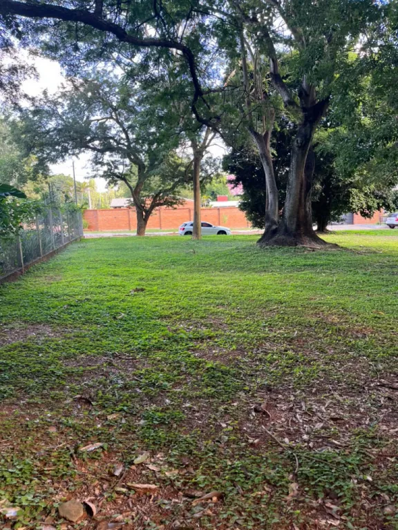 🌿 En venta Terreno Bo. Cerrado - Ciudad de Ypané! 🌿 — foto 2