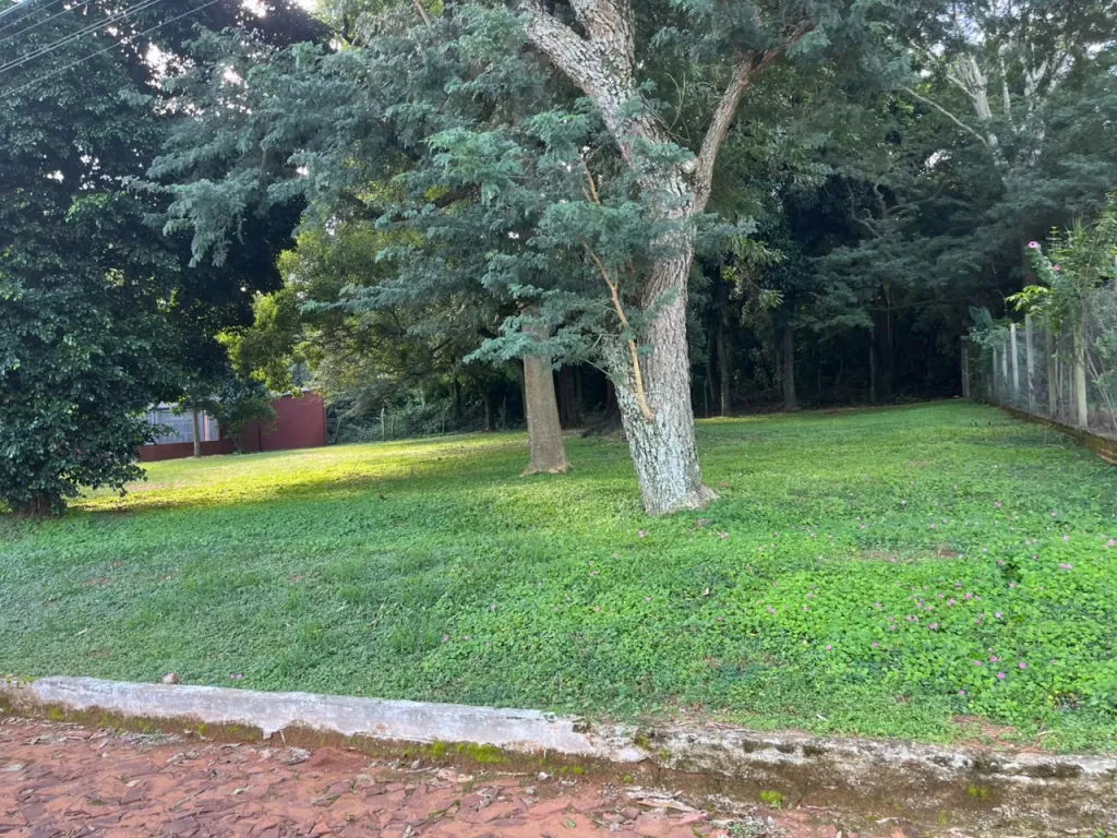 🌿 En venta Terreno Bo. Cerrado - Ciudad de Ypané! 🌿 — foto 3